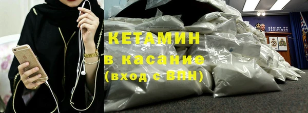 гашик Алексин