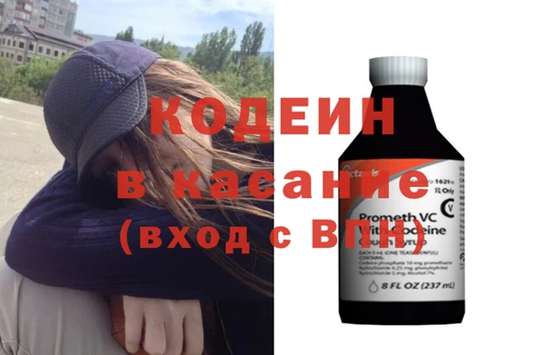 гашик Алексин