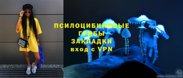 apvp Алексеевка