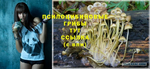 apvp Алексеевка
