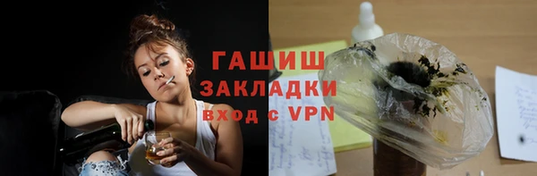 гашик Алексин