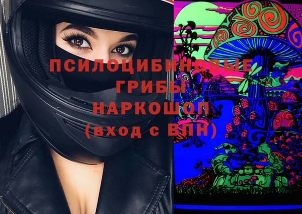 гашик Алексин