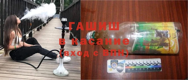 гашик Алексин
