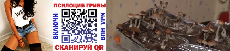 ОМГ ОМГ онион  Мыски  Галлюциногенные грибы ЛСД 